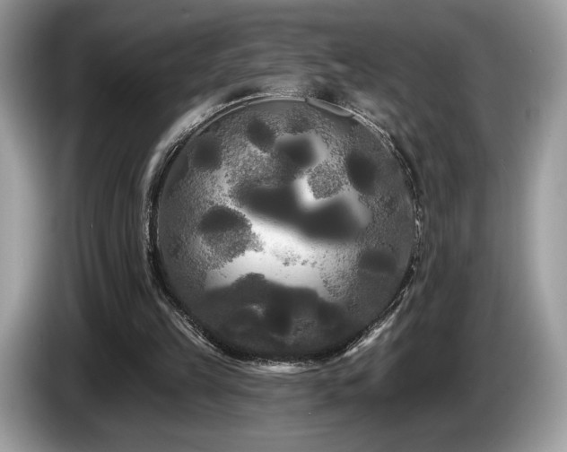 X0000087510149200704271129