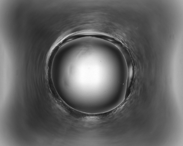 X0000087510150200704271129