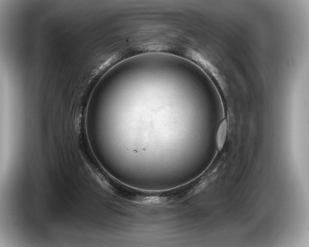 X0000087510153200704271129