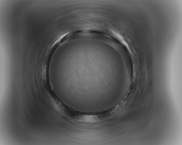 X0000087510154200704271129