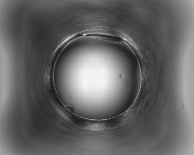 X0000087510155200704271129