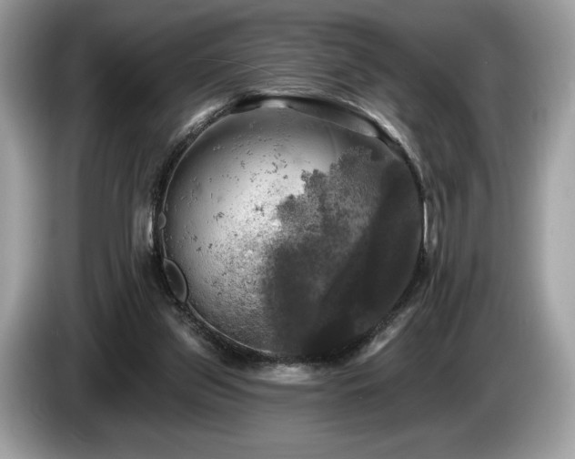 X0000087510157200704271129