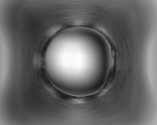 X0000087510164200704271129