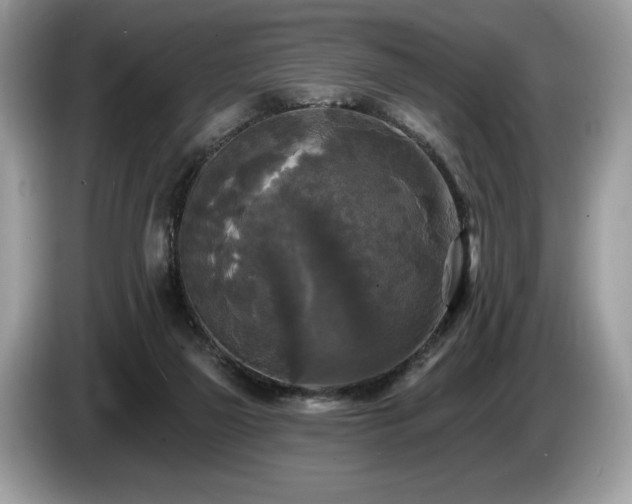 X0000087510165200704271129