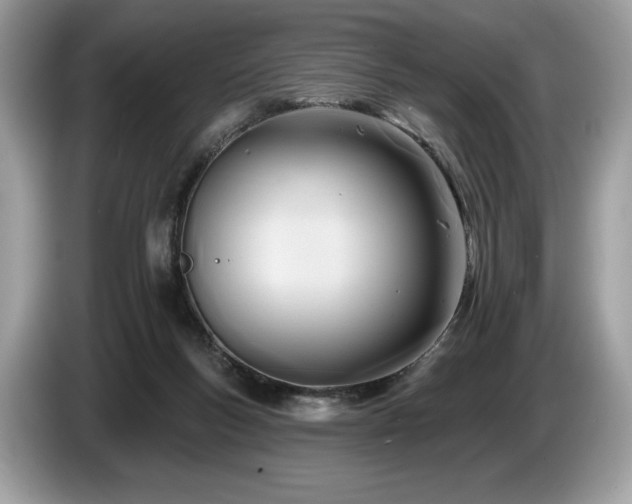 X0000087510167200704271129
