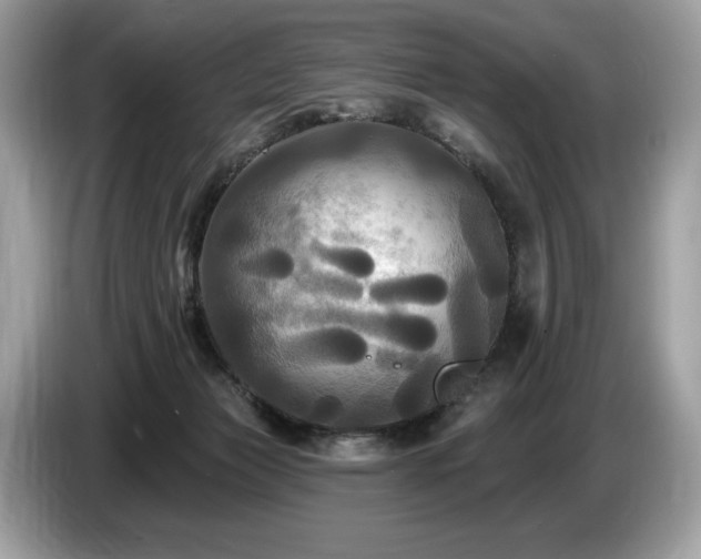 X0000087510173200704271129