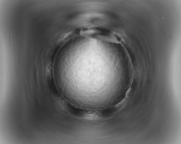 X0000087510175200704271129