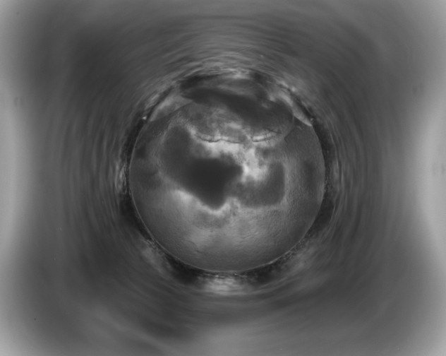 X0000087510177200704271129