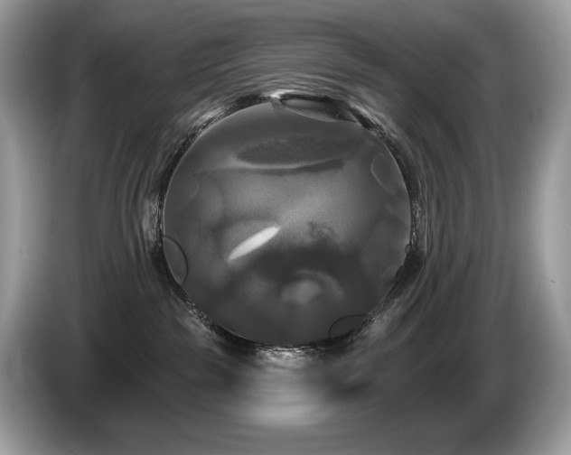 X0000087510189200704271129