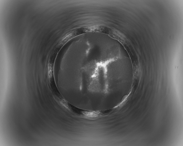 X0000087510191200704271129