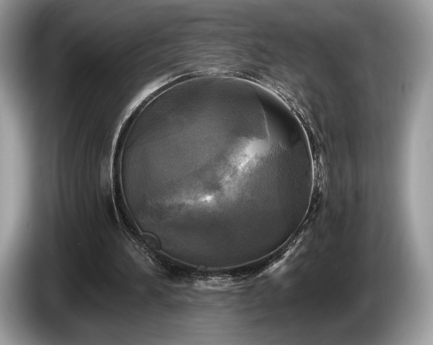 X0000087510196200704271128