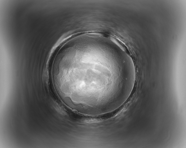 X0000087510198200704271128