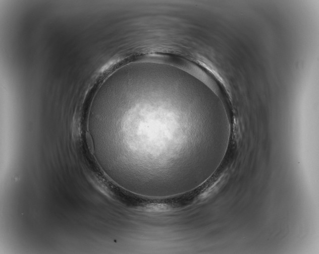 X0000087510203200704271128