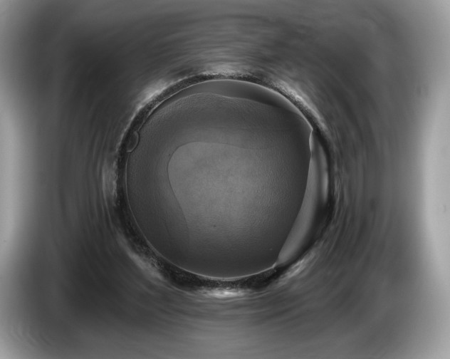 X0000087510204200704271128