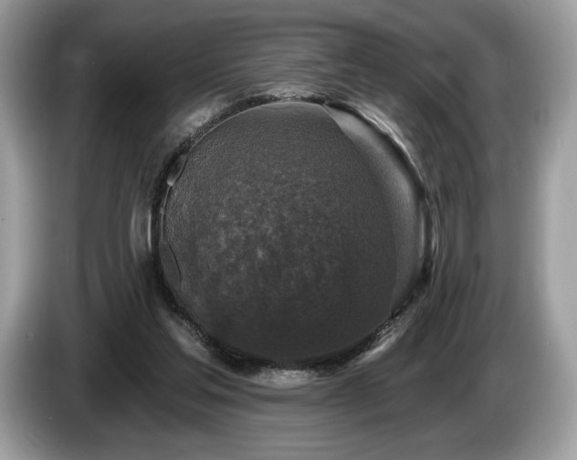 X0000087510205200704271128
