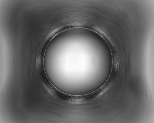 X0000087510208200704271128
