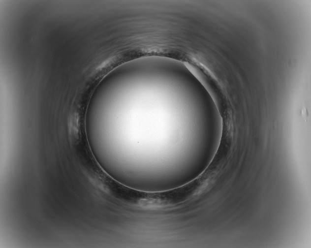 X0000087510211200704271128
