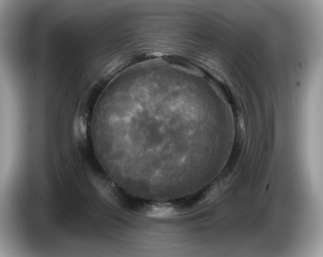 X0000087510214200704271128