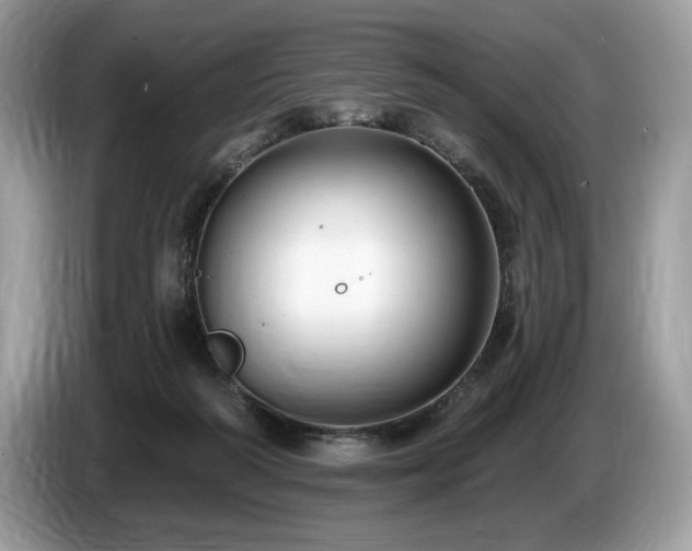 X0000087510218200704271128