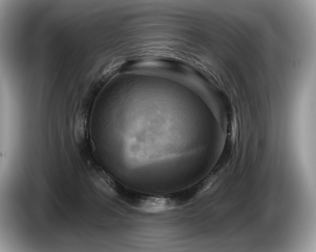 X0000087510227200704271128