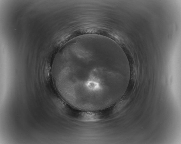 X0000087510230200704271128