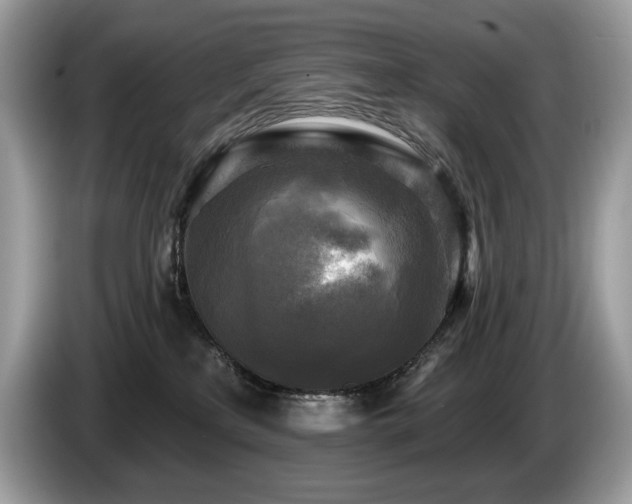 X0000087510233200704271128