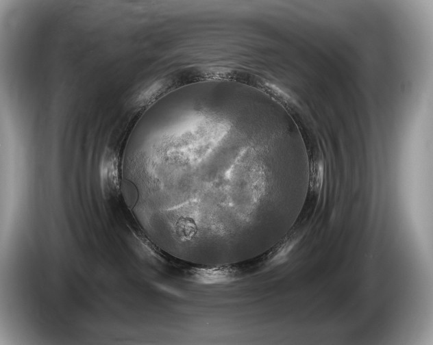 X0000087510238200704271128