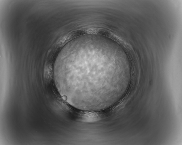 X0000087510240200704271128