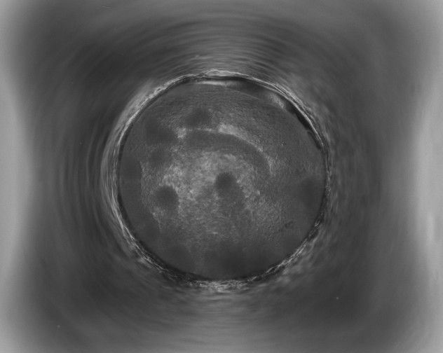 X0000087510241200704271127