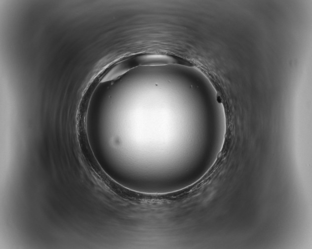 X0000087510242200704271127