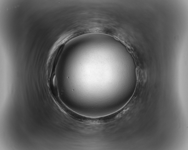 X0000087510245200704271127