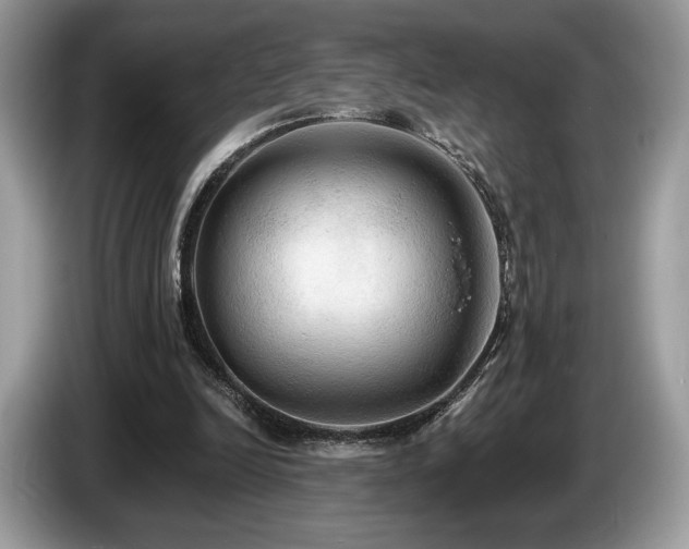 X0000087510246200704271127