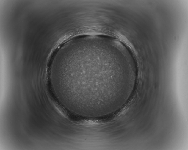 X0000087510250200704271128