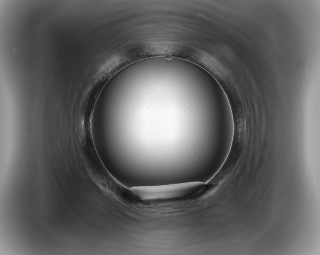 X0000087510254200704271128