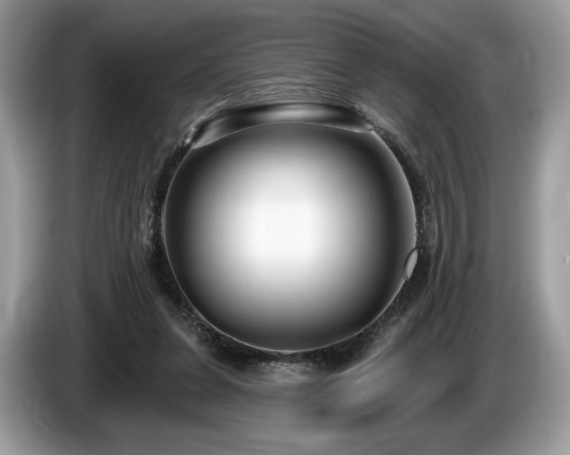 X0000087510255200704271128