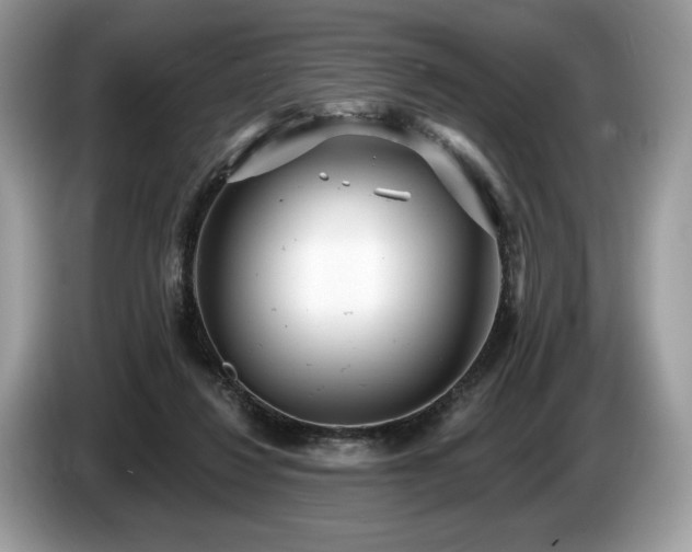 X0000087510260200704271128