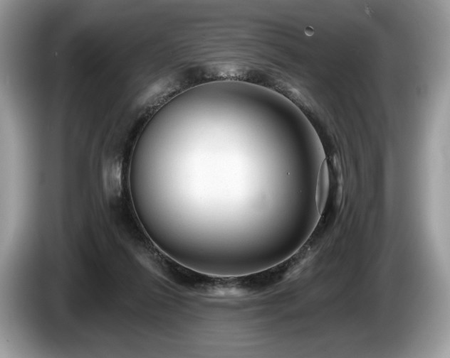 X0000087510262200704271128