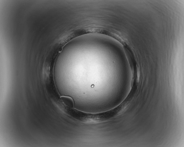 X0000087510263200704271128