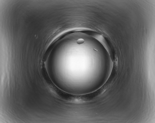 X0000087510264200704271128