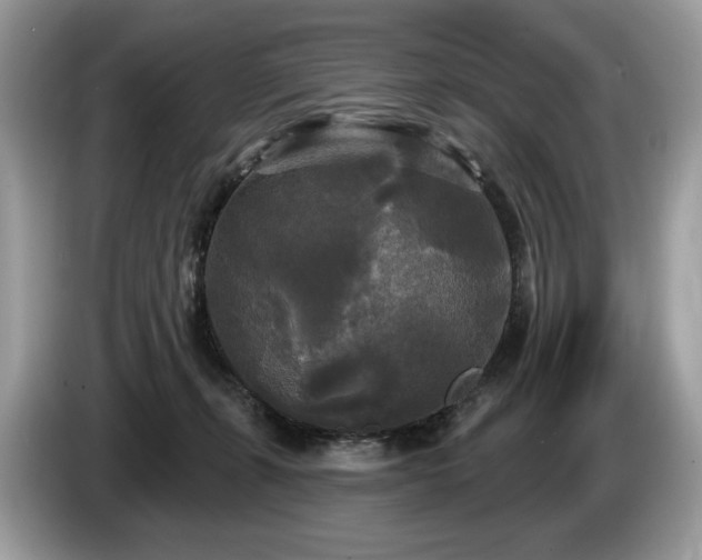 X0000087510271200704271128