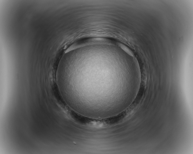 X0000087510272200704271128