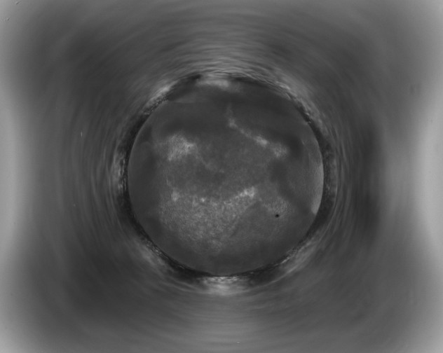 X0000087510273200704271128