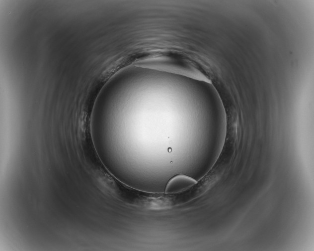 X0000087510275200704271128