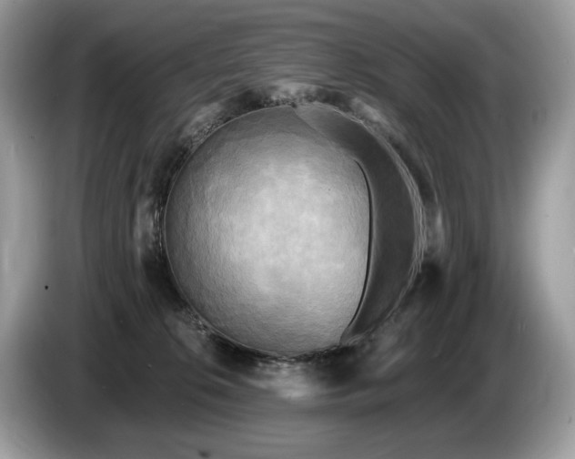 X0000087510276200704271128