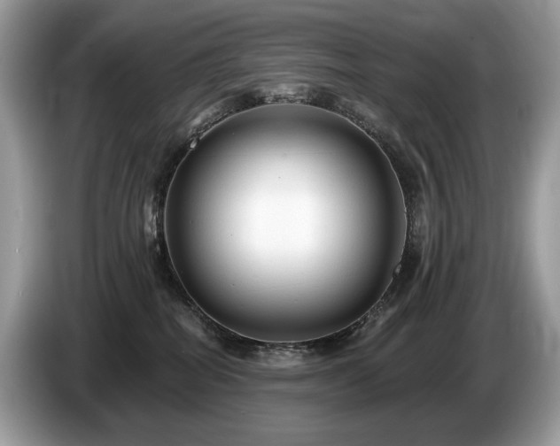 X0000087510282200704271128