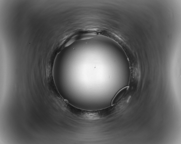 X0000087510283200704271128