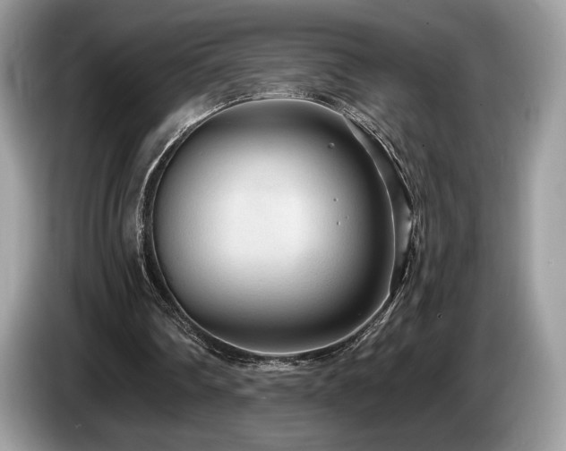 X0000087510290200704271127