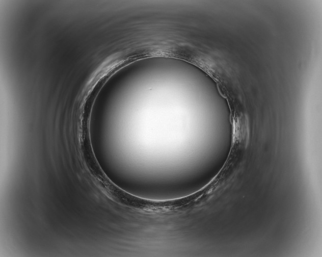 X0000087510291200704271127