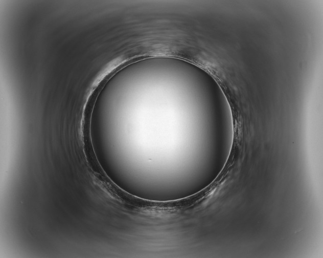 X0000087510292200704271127