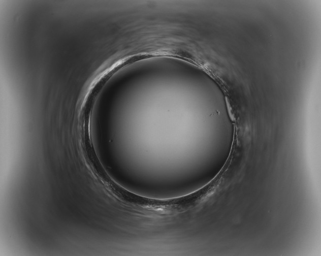 X0000087510295200704271127